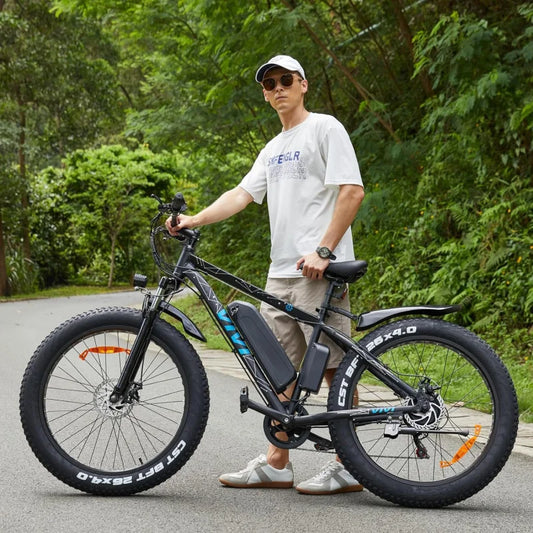 Fat Tire Electric Bike